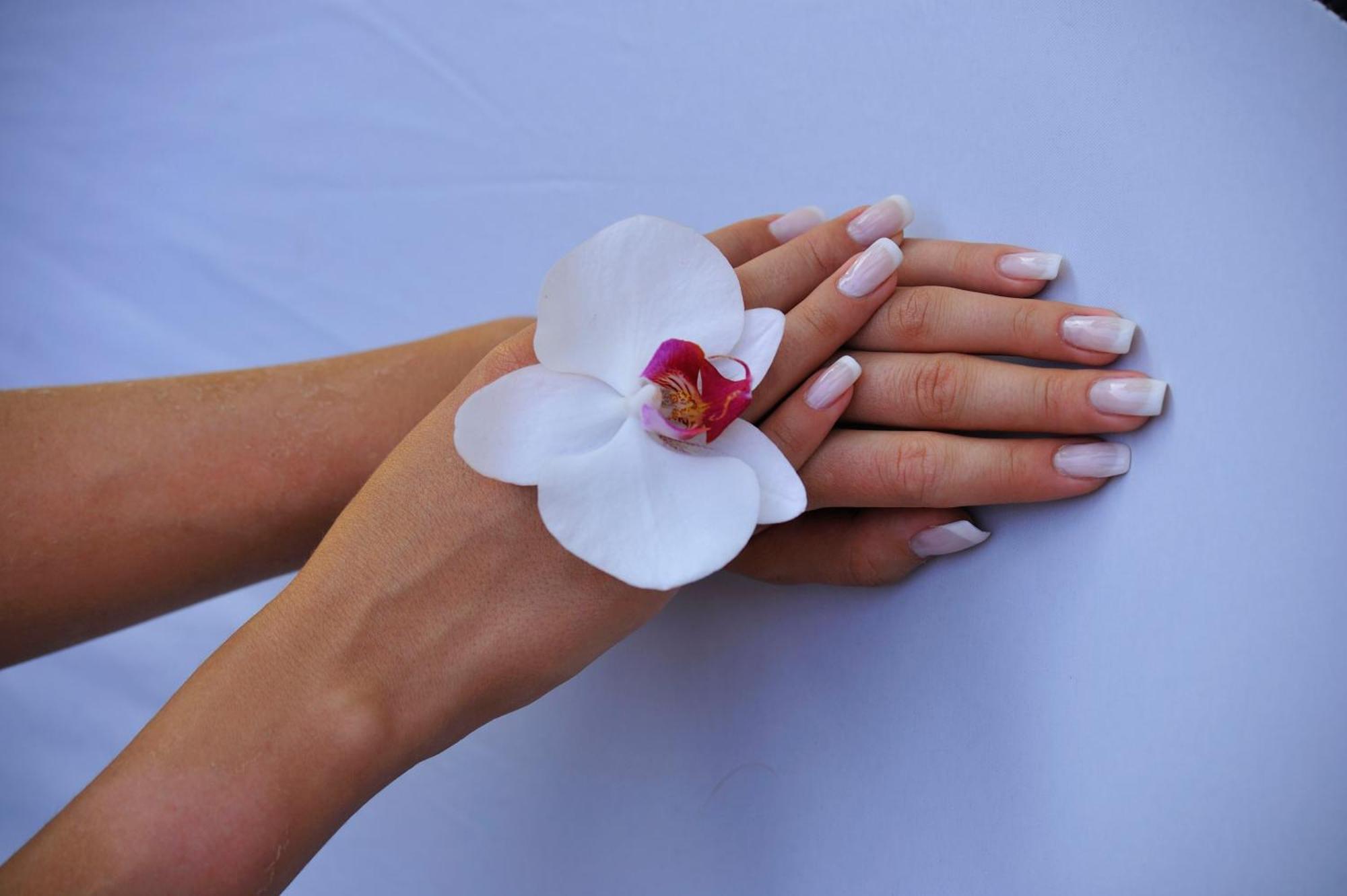 Seasons Spa Boutique Hotel Kozyn Zewnętrze zdjęcie