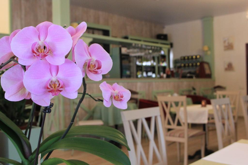 Seasons Spa Boutique Hotel Kozyn Zewnętrze zdjęcie
